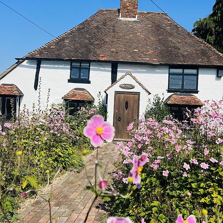 Local Walks Pub Gardens Pet Friendly Landscaped Gardens And Free Private Parking Villa Doddington  Eksteriør bilde